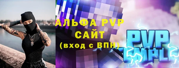 индика Бородино