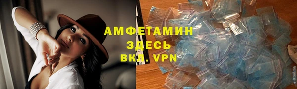 индика Бородино