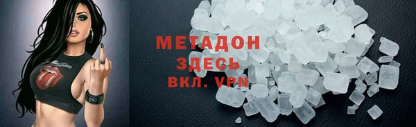 индика Бородино