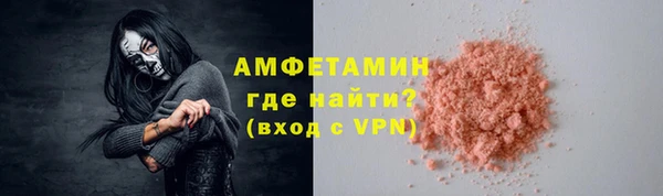 индика Бородино
