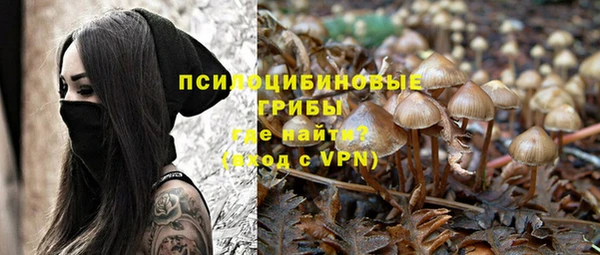 индика Бородино