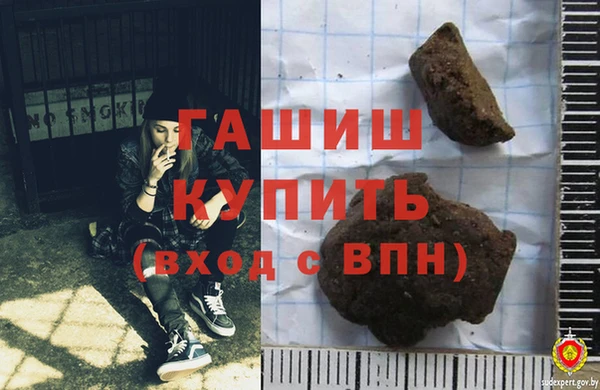 индика Бородино