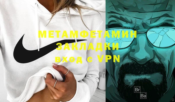 индика Бородино
