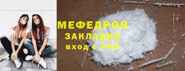 индика Бородино